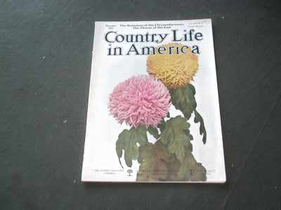 1913 NOVEMBER COUNTRY LIFE IN AMERICA MAGAZINE - GREAT COVER & ADS - F 493