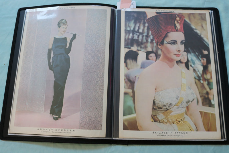 MOVIE STAR SCRAPBOOK - SUZANNE PLESHETTE - DORIS DAY - #38