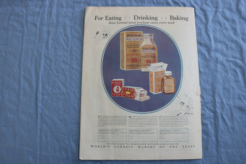 1926 OCTOBER THE FARMER'S WIFE MAGAZINE - ILLUSTRATIONS/STORIES/ADS - SP 4784G