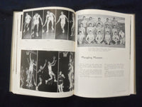 1956 WARBLER EASTERN ILLINOIS STATE COLLEGE YEARBOOK - CHARLESTON, IL - YB 3314