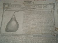 1852 BOSTON CULTIVATOR LOT OF 2 - DANIEL WEBSTER DEATH & FUNERAL - NP 3969