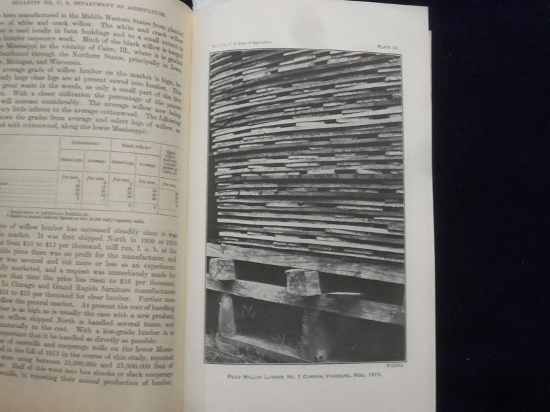 1915 DECEMBER WILLOWS: THEIR GROWTH, USE, AND IMPORTANCE SOFTCOVER BOOK - J 9618