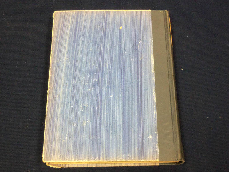 1928 LIONS AND LAMBS BY LOW & LYNX BOOK - GREAT ILLUSTRATIONS - KD 3376