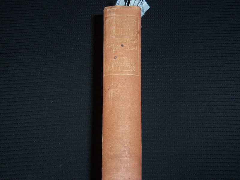 1913 ALPS AND SANCTUARIES OF PIEDMONT HARDCOVER BOOK BY SAMUEL BUTLER - KD 9404