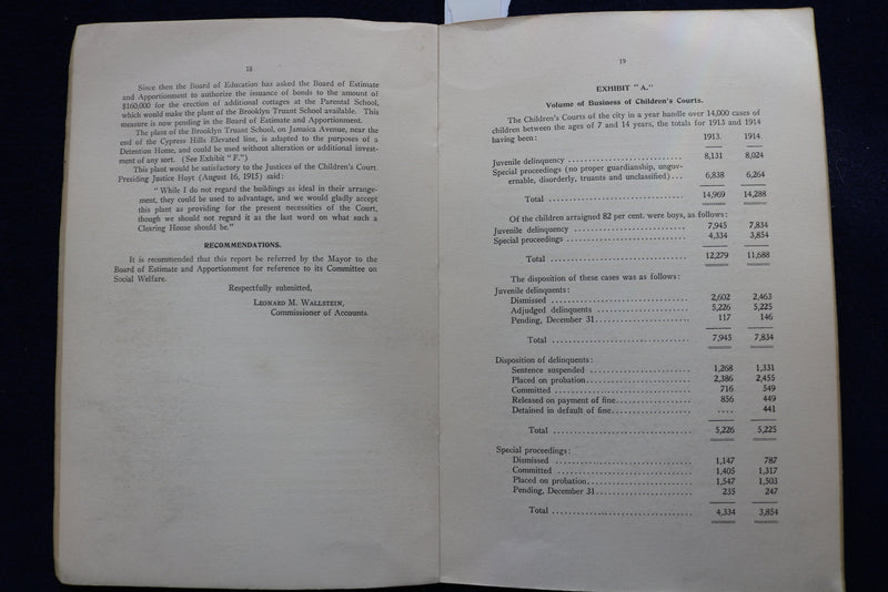 1915 JUVENILE DELINQUENTS SOFTCOVER BOOK BY LEONARD WALLSTEIN - K 862
