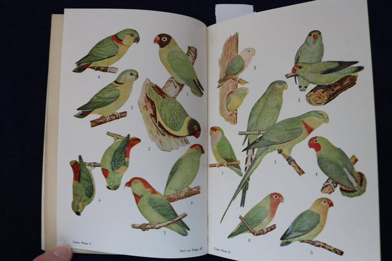 1940'S PARRAKEETS - THEIR CARE AND BREEDING SOFTCOVER BOOK - K 1332