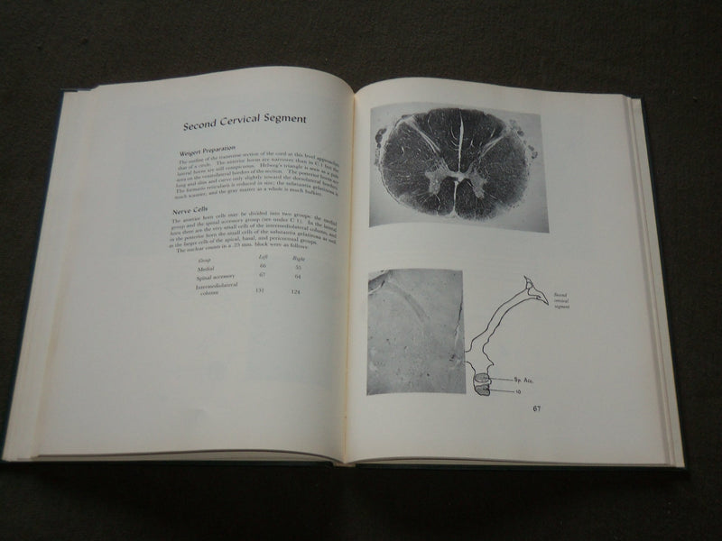 1959 EFFECT OF ADVANCING AGE UPON THE HUMAN SPINAL CORD BOOK - KD 6216