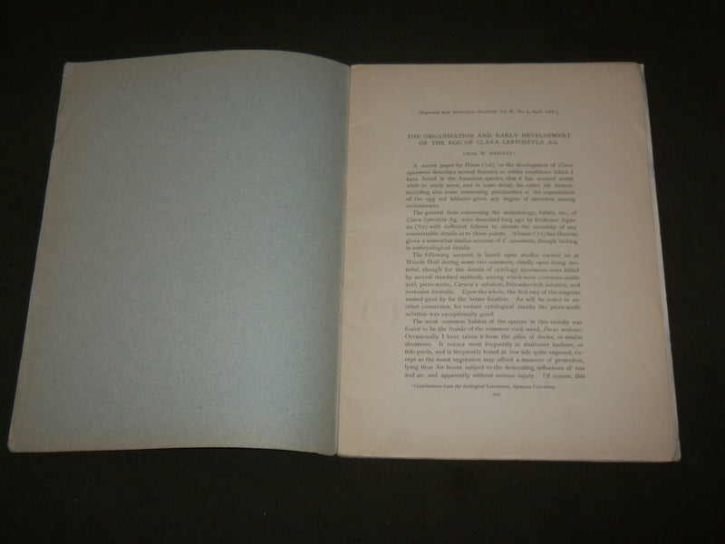 1906 EARLY DEVELOPMENT OF THE EGG OF CLAVA LEPTOSTYLA BOOK BY HARGITT - J 7119