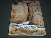 1984 THE JEWS GOD'S PEOPLE BOOK W/ SLIPCASE - GREAT PHOTOS BY JACOBY - KD 3968