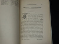 1886 SEPTEMBER CALIFORNIA ACADEMY OF SCIENCES BULLETIN - VOLUME 2 NO. 5 - K 553
