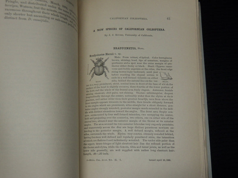1886 SEPTEMBER CALIFORNIA ACADEMY OF SCIENCES BULLETIN - VOLUME 2 NO. 5 - K 553