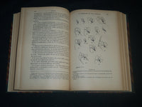 1900-1909 ANNALES D'OCULISTIQUE FRENCH VOLUMES LOT OF 19 - NICE PLATES - KD 18