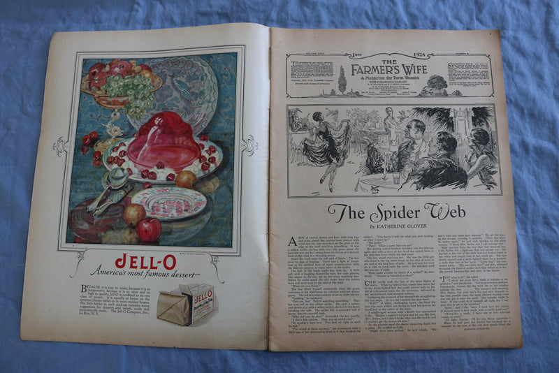 1926 JUNE THE FARMER'S WIFE MAGAZINE - ILLUSTRATIONS/STORIES/ADS - SP 4784F