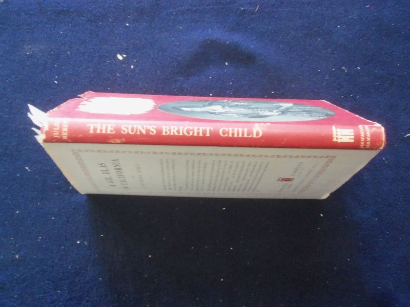 1946 THE SUN'S BRIGHT CHILD HARDCOVER BOOK BY JULIUS BERSTL - KD 8438
