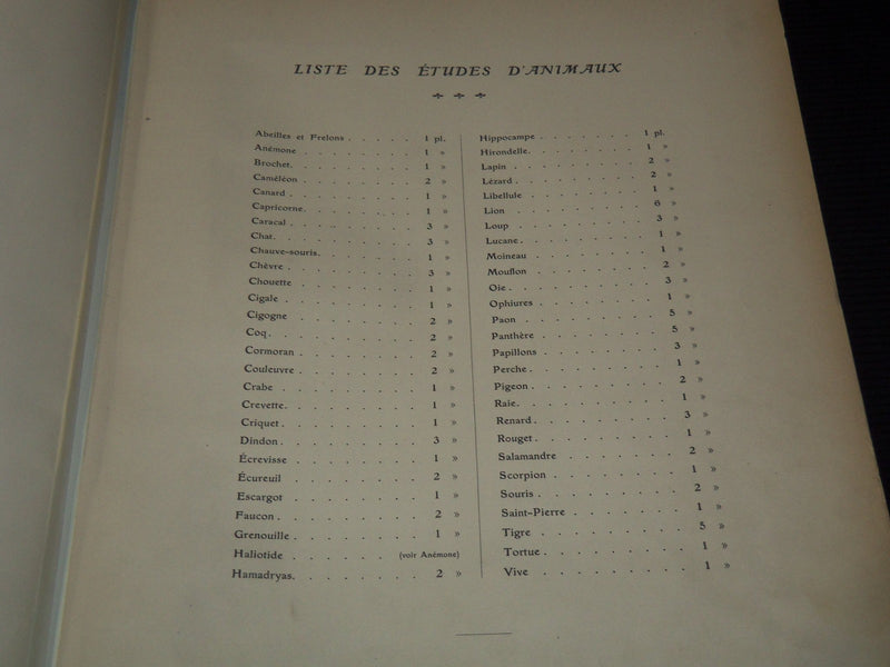 1911 ETUDES D'ANIMAUX FRENCH VOLUME BY M. MEHEUT - 50 ANIMAL PLATES - Z 277