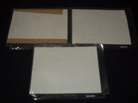 THE WHITE COCKATOO MOVIE STILLS - CORTEZ - MUIR - LOT OF 3 PHOTOS - 8x10 - #83