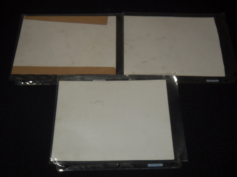 THE WHITE COCKATOO MOVIE STILLS - CORTEZ - MUIR - LOT OF 3 PHOTOS - 8x10 - #83