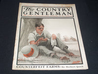1919 AUGUST 30 THE COUNTRY GENTLEMAN MAGAZINE ILLUSTRATED COVER ART - E 2899