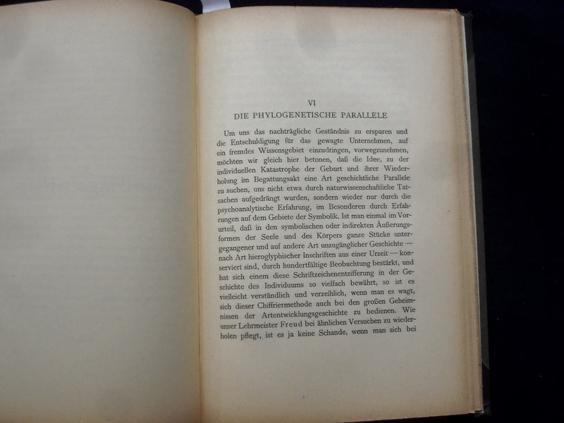1924 VERSUCH EINER GENITALTHEORIE HARDCOVER BOOK- DR. FERENCZI -GERMAN - KD 8997