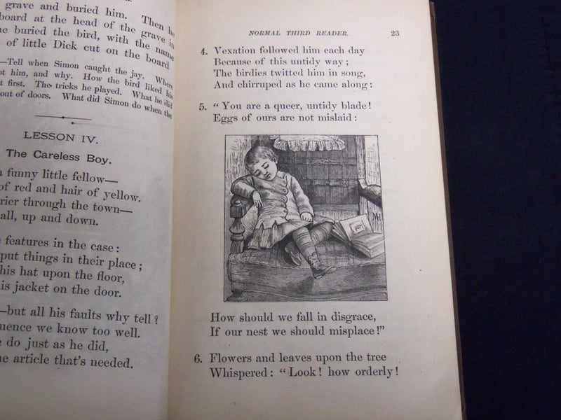 1884 THE NEW NORMAL THIRD READER VOLUME BY ALBERT RAUB LOT OF 2 - KD 4814U