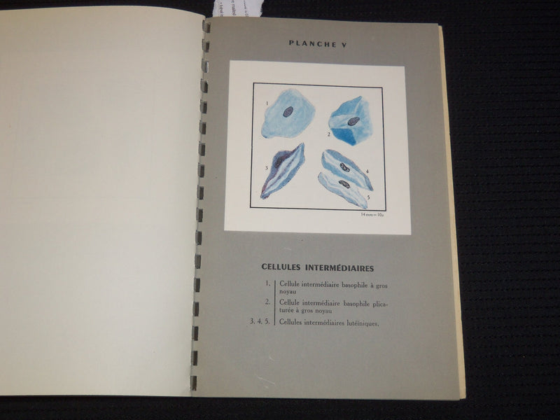 1953 TECHNIQUE DES FROTTIS VAGINAUX BOOK BY ISAAC ET WURCH - FRENCH - J 9566