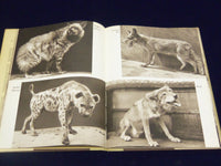 1964 ANIMAL LANGUAGE BOOK B JULIAN HUXLEY + RECORD BY LUDWIG KOCH - KD 3486H