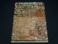 1978 TOMB RHINOCEROS HARDCOVER BOOK - INNER MONGOLIA - BEIJING - R 728I