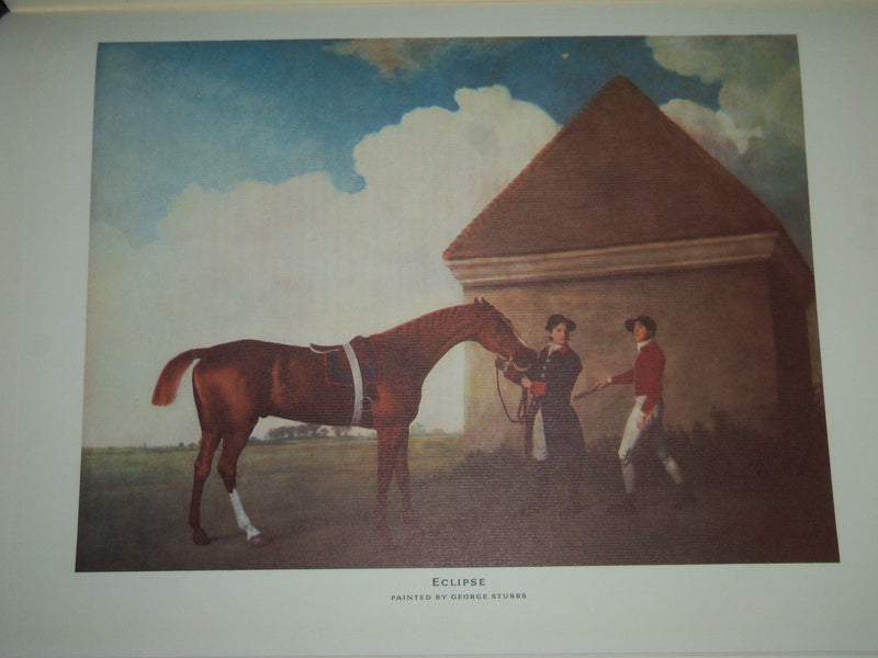 1966 THE BRITISH THOROUGHBRED 1700-1850 BY VINCENT ORCHARD BOOK - I 1254