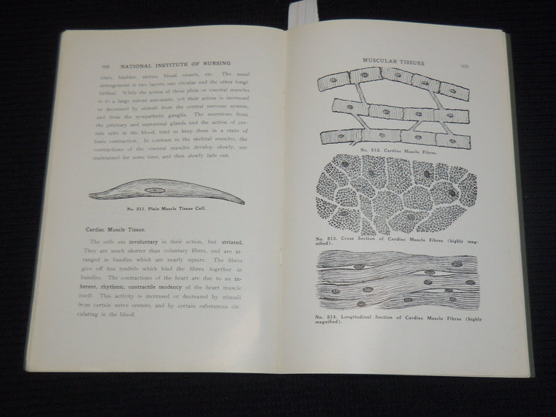 1924 TISSUES OF THE BODY LESSON 19 - SCIENCE & PRACTICE OF NURSING - K 555