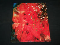 2008 DEEP BLUE UNDERWATER PHOTOGRAPHY OF YASUAKI KAGII HARDCOVER BOOK - R 707X