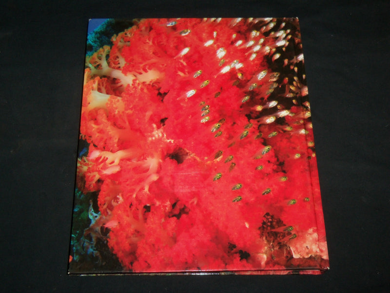 2008 DEEP BLUE UNDERWATER PHOTOGRAPHY OF YASUAKI KAGII HARDCOVER BOOK - R 707X