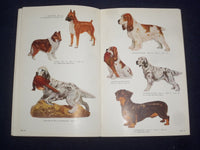1950'S ROYAL DOULTON FIGURES CATALOG - J 9355