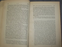 1857 PARALLELE DER ERDBEBEN DER NORDLICHTER UND DES ERDMAGNETISMUS - J 4874