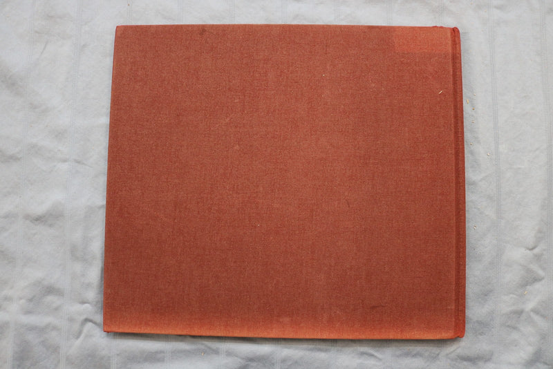 1968 THE FOOL OF THE WORLD HARDCOVER BOOK - URI SHULEVITZ INSCRIBED - KD 9585