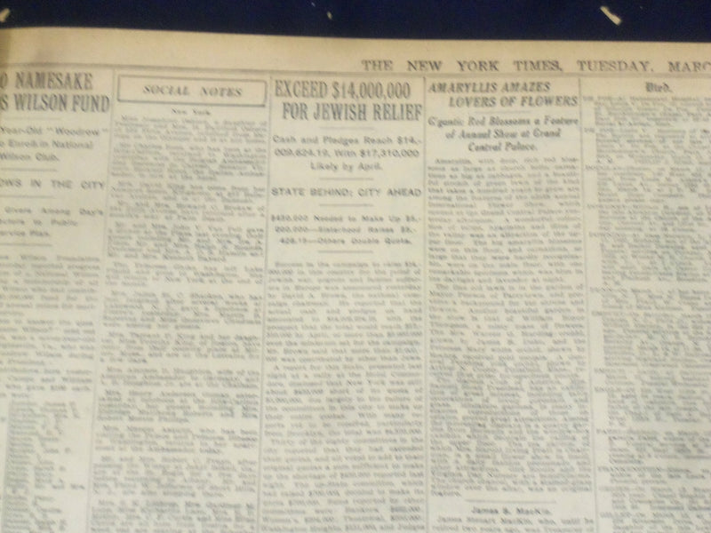 1922 MARCH 14 NEW YORK TIMES - WASHINGTON NETTLE BY ALLIES ON RHINE - NT 8315