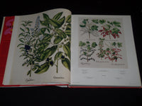 2007 THE BOOK OF PLANTS COMPLETE PLATES BOOK - BY BASILIUS BESLER - D 71