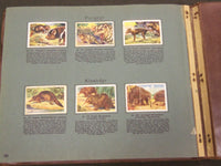 1930'S RICH'S SERIE AF DYRENES VERDEN ANIMAL TOBACCO CARDS ALBUM - KD 3181