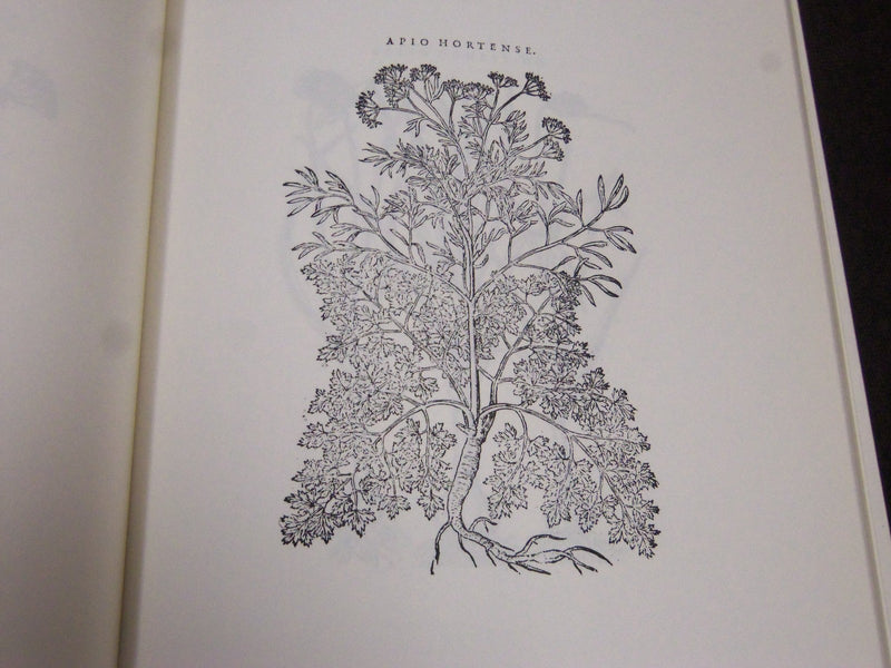 1976 I RIMEDI BY ALDO BERTOLUZZA ITALIAN BOOK - NICE ILLUSTRATIONS - KD 2062F