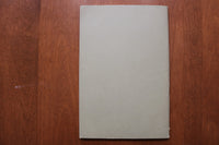1917 GOVERNMENT OWNERSHIP OF RAILROADS IN FOREIGN COUNTRIES - SOFTCOVER - K 3238