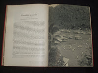 1946 HECHT VERBONDEN IN LIEF EN LEED HARDCOVER BOOK BY - DUTCH TEXT - KD 9241