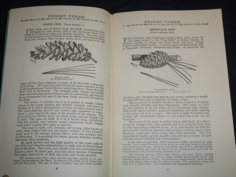 1953 FOREST TREES OF ILLINOIS HOW TO KNOW THEM BOOK - J 8630