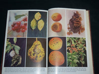 1953 PLANT DISEASES YEARBOOK OF AGRICULTURE HARDCOVER BOOK - KD 6657
