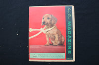 1953 NOV 29 CHICAGO SUNDAY TRIBUNE MAGAZINE - CHOOSE A DOG COVER - E 26343