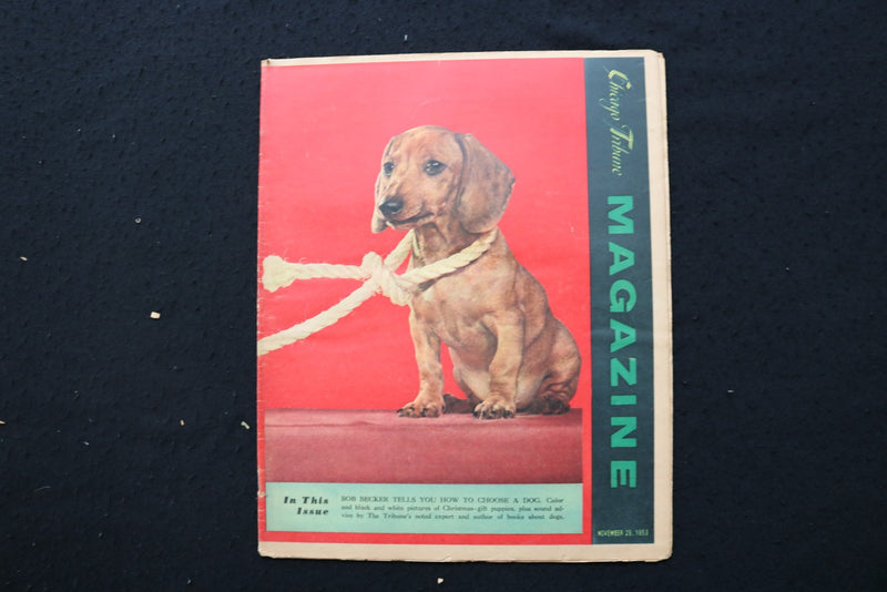 1953 NOV 29 CHICAGO SUNDAY TRIBUNE MAGAZINE - CHOOSE A DOG COVER - E 26343