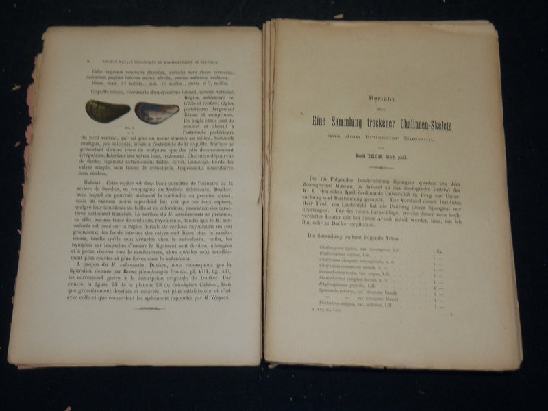 1894-1919 ZOOLOGIQUE ET MALACOLOGIQUE ANNALES MAGAZINES LOT OF 6 - WR 336F