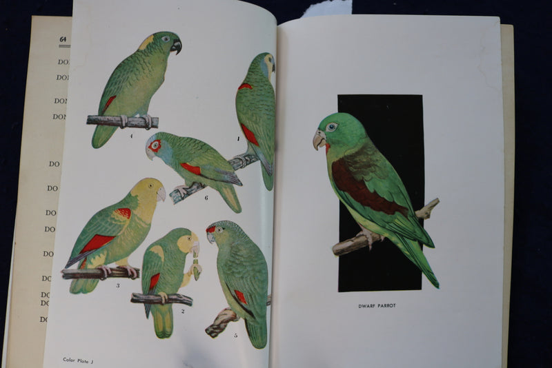 1940'S PARRAKEETS - THEIR CARE AND BREEDING SOFTCOVER BOOK - K 1332