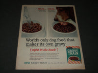 1960 FEB 14 SUNDAY NEWS COLOROTO MAGAZINE SECTION - JILL ST. JOHN COVER - J 2874