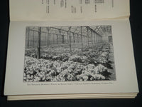 1916 SOCIETY OF AMERICAN FLORISTS ORNAMENTAL HORTICULTURISTS PROCEEDINGS- J 4407