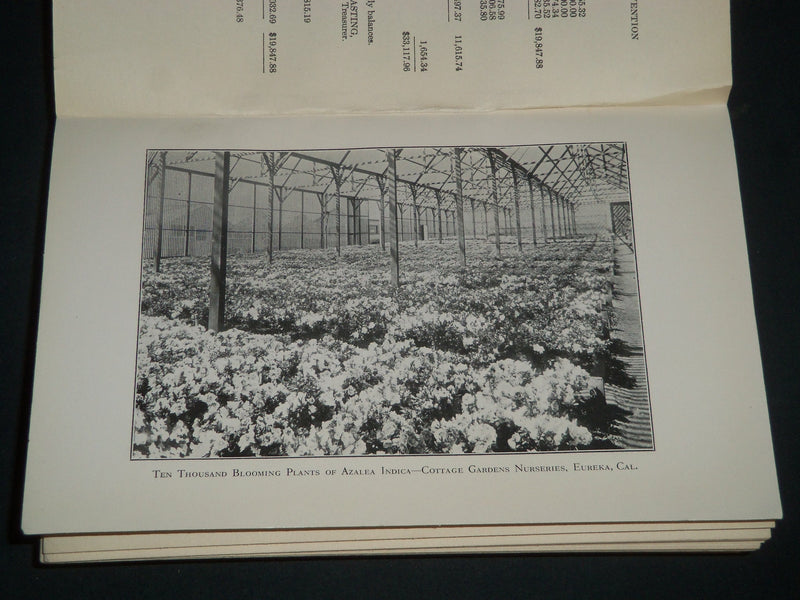 1916 SOCIETY OF AMERICAN FLORISTS ORNAMENTAL HORTICULTURISTS PROCEEDINGS- J 4407