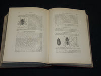1900-1902 WASHINGTON ACADEMY OF SCIENCES PROCEEDINGS VOLUME LOT OF 3 - R 8D